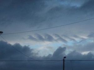 I see a wave-like pattern